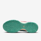 Nike Zoom LeBron NXXT Gen