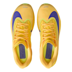 Nike Zoom Fly 6