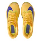 Nike Zoom Fly 6