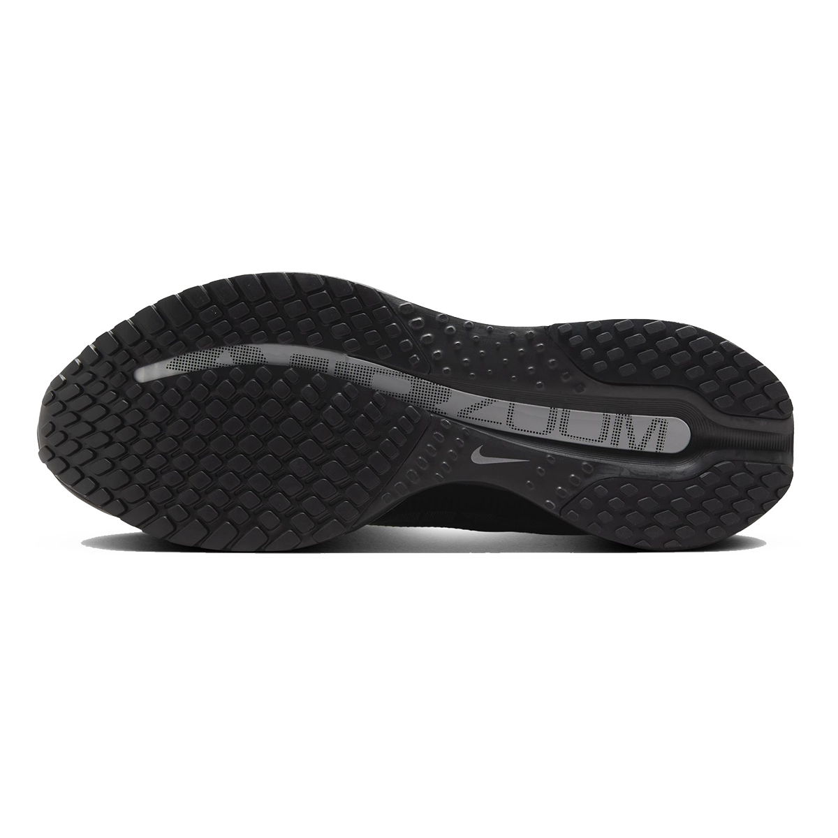 Nike Pegasus Premium