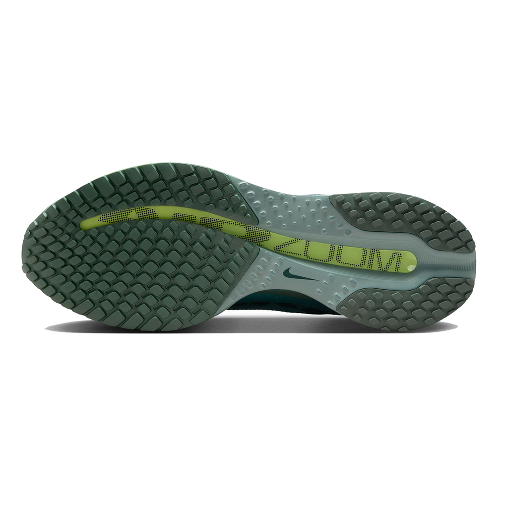 Nike Pegasus Premium