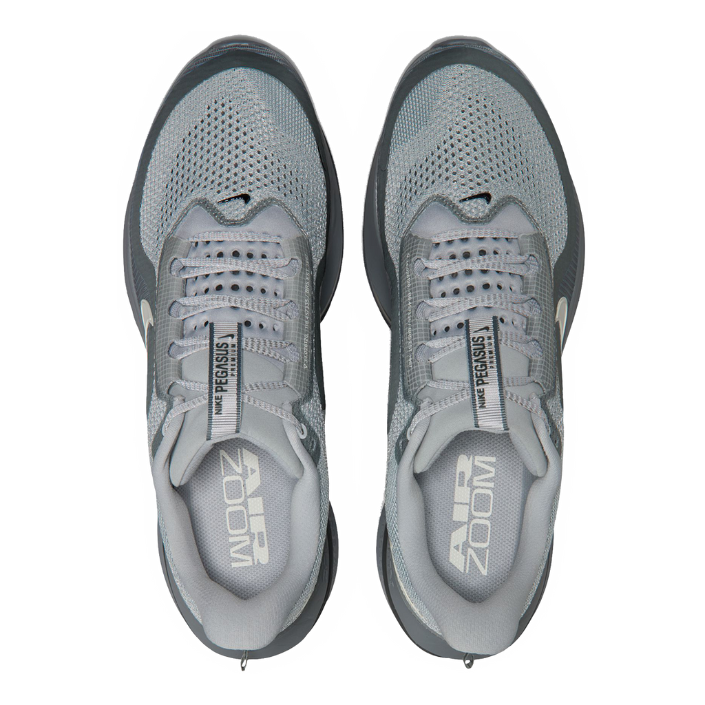 Nike Pegasus Premium