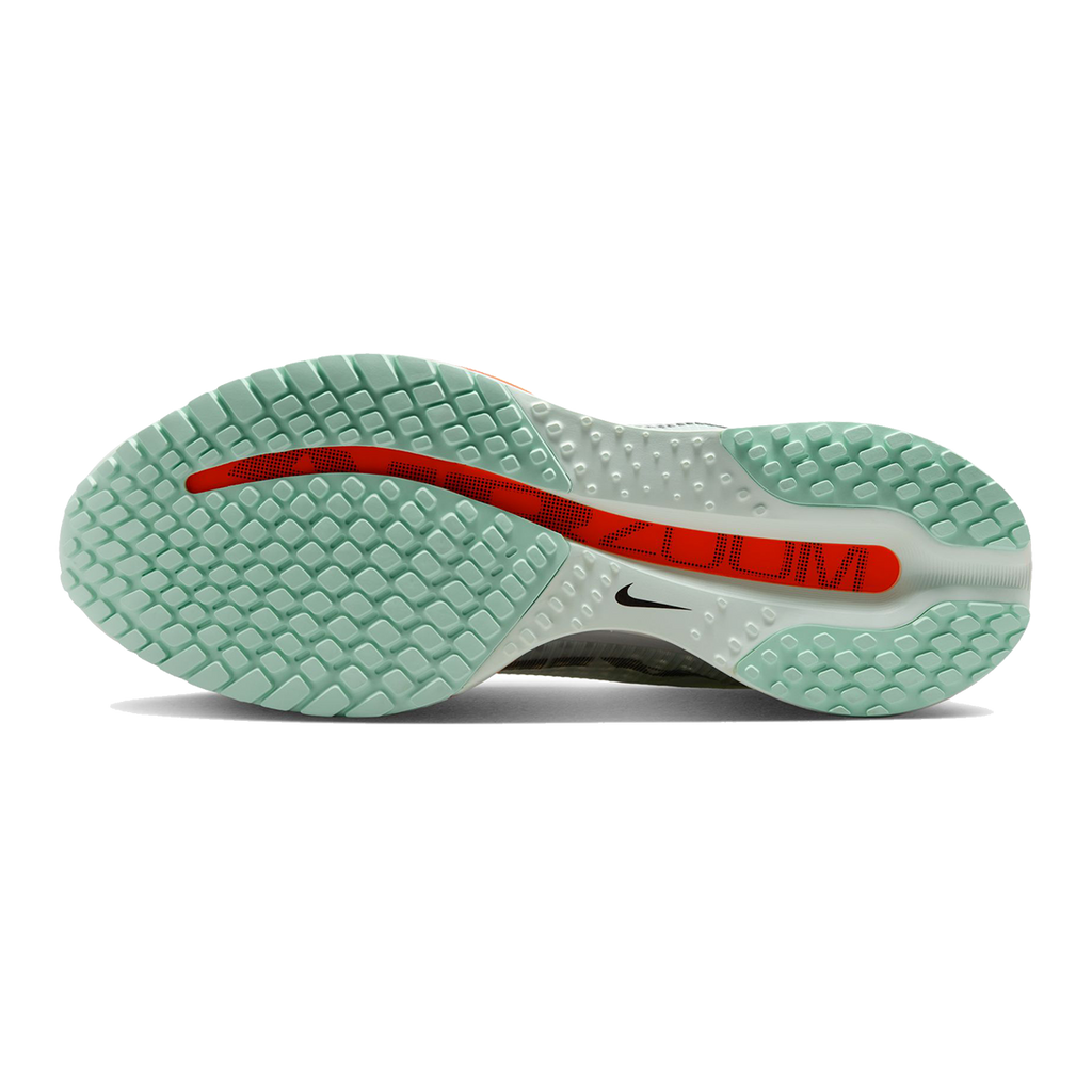 Nike Pegasus Premium