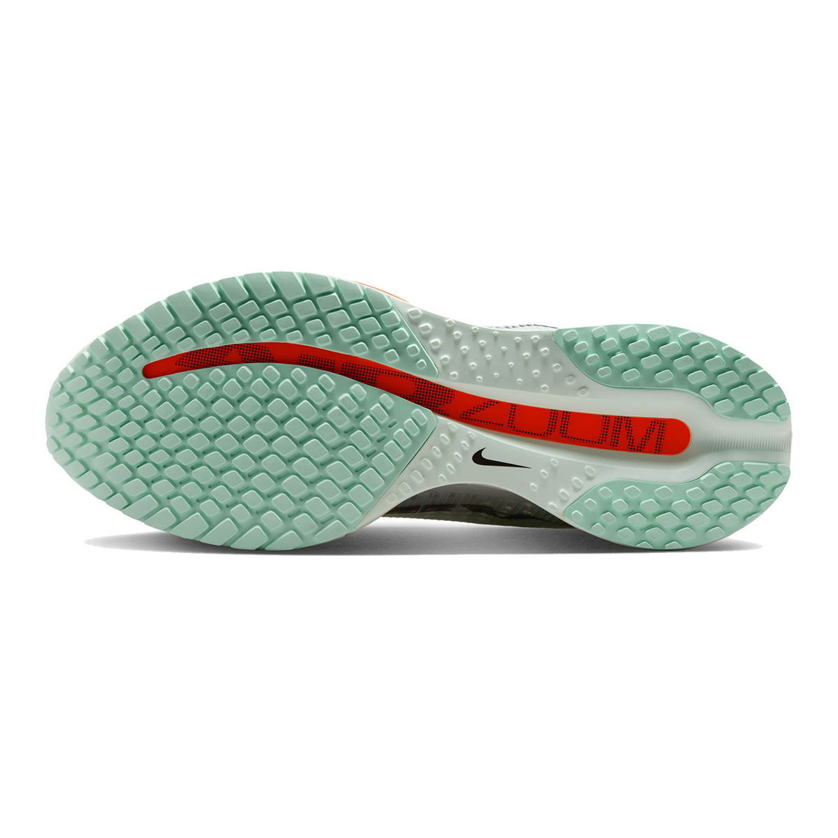 Nike Pegasus Premium