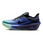 Nike Zoom Fly 6