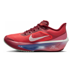 Nike Zoom Fly 6
