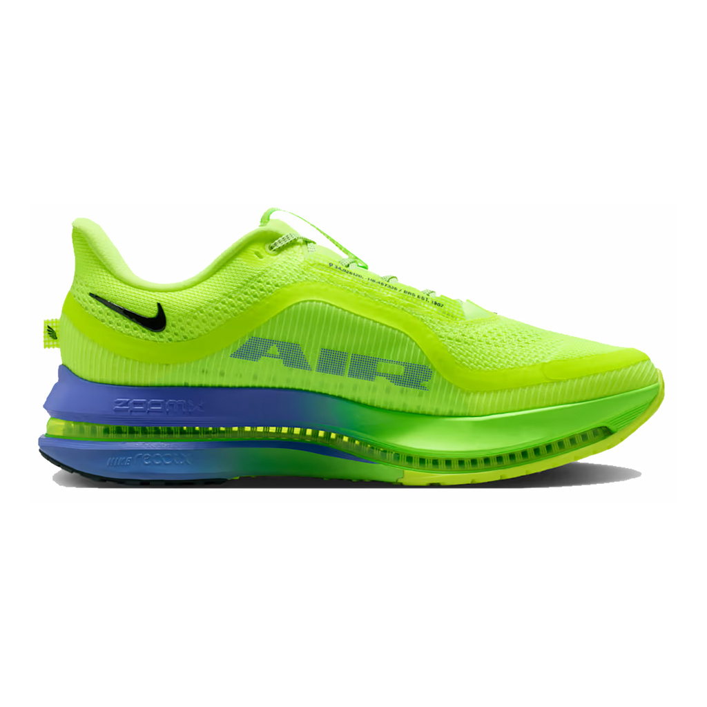 Nike Pegasus Premium